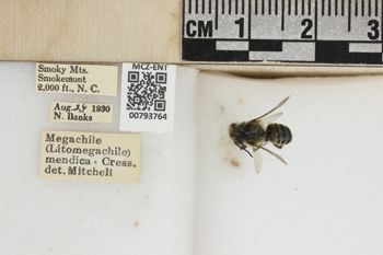 Media type: image;   Entomology 793764 Aspect: labels